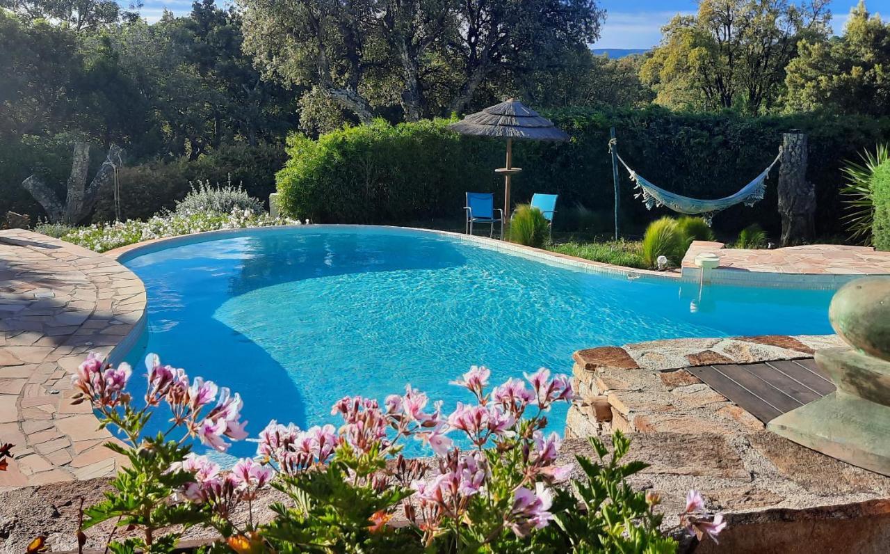 Des Delices Bed & Breakfast Grimaud