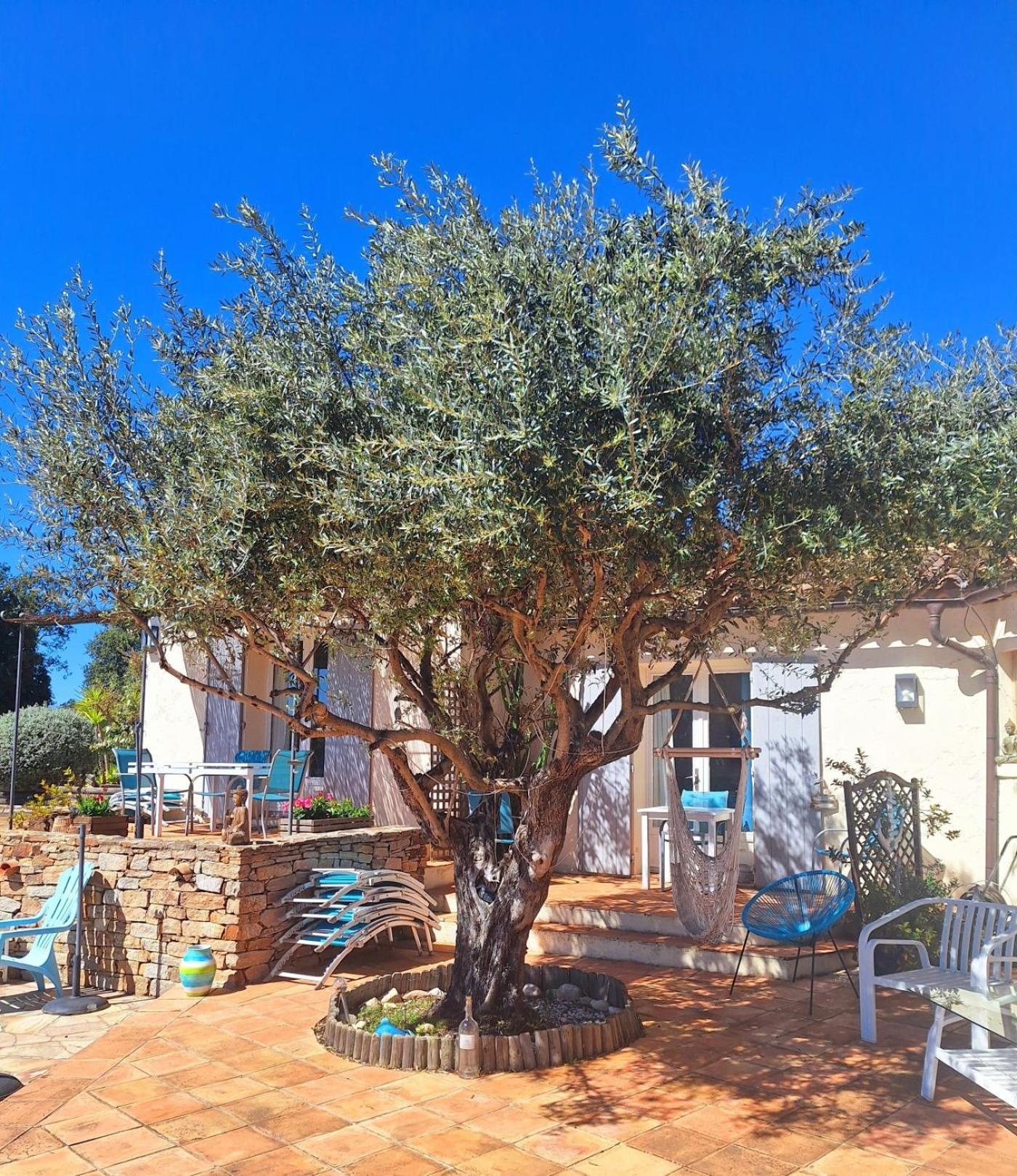 Des Delices * Grimaud