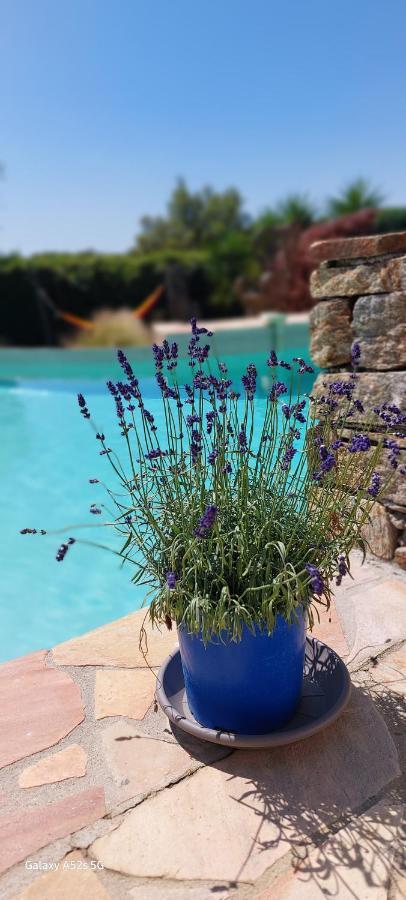 Bed and breakfast Des Delices Grimaud
